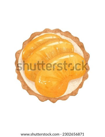 Food Illustration of Tangerine Pie 