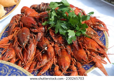 Boiled crayfishes with greenery on a plate