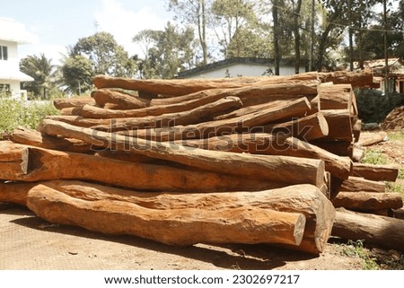 View of wood logs kept in the saw mill 