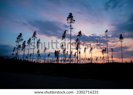 Colorful sunset with trees in front