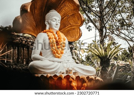 Buddha statue with closed eyes in the jungle. High quality photo
