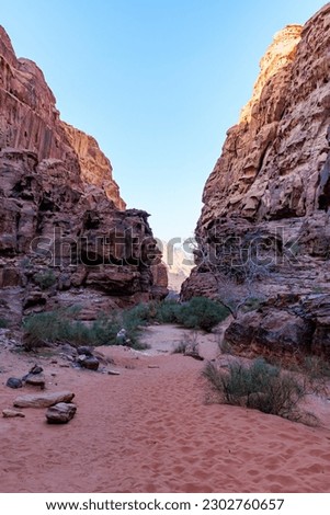 Landscape of the Wadi Rum desert in Jordan. View of the canyon.