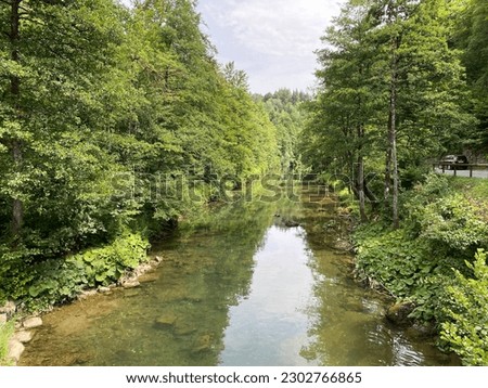 Dobra River next to the protected landscape of the river Kamacnik in Gorski kotar - Vrbovsko, Croatia (Rijeka Dobra uz zaštićeni krajolik kanjona i rječice Kamačnik u Gorskom kotaru - Hrvatska)