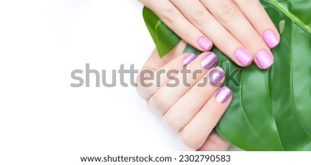 Nail design background. Nail art postcard. Female hands with purple and pink nail design hold tropic leaf on white background. Glitter purple manicure. Glitter pink manicure. Copy space. 