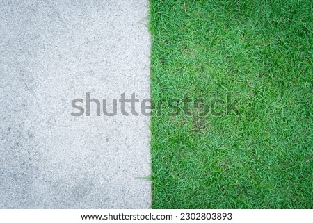 Top view of green grass texture with concrete floor background. Green lawn pattern and texture with cement sidewalk background. Close-up. Royalty-Free Stock Photo #2302803893
