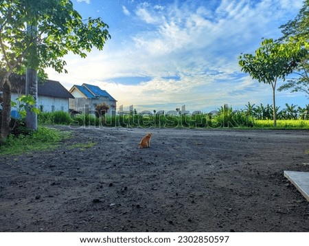 an image featuring a bright and fresh atmosphere against a backdrop of vast blue clouds and a clear sky. In the center of the picture is a cat relaxing under a lush tree. The green and lush trees comp