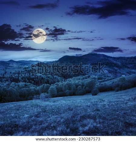 mountain summer landscape. trees near meadow and forest on hillside under  sky with clouds  at night in full moon light