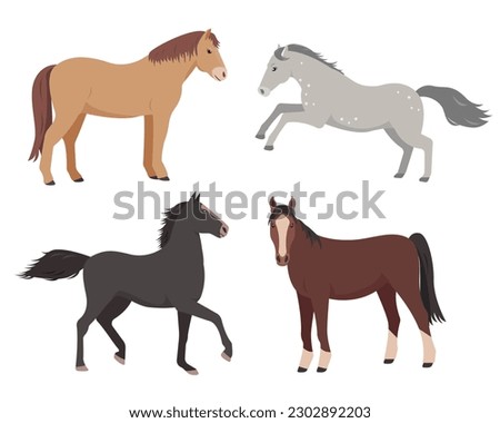 Set of horses in various poses. Farm domestic animal icons isolated on white background. Vector flat or cartoon illustration.