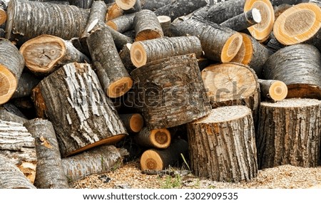 Big heap of sawn logs of firewood