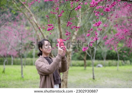 Woman use of mobile phone to take photo on sakura tree