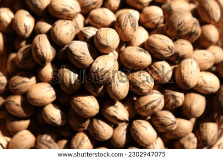 Pecan nuts close up with spare space