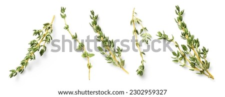 Mediterranean cuisine: set or collection of fresh thyme twigs in different positions over a transparent background, isolated herbs with subtle natural shadows, top view, flat lay	