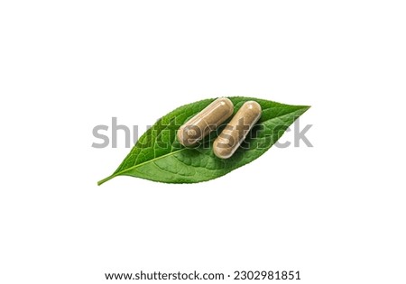 Herb supplement capsules on green leaf isolate on white background. Selective focus. Nature. Royalty-Free Stock Photo #2302981851