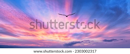A Bird Silhouette Is Soaring Above The Colorful Clouds At Sunset Banner Royalty-Free Stock Photo #2303002317
