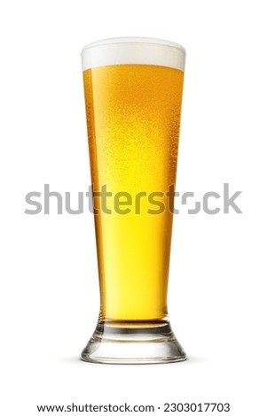 Pilsner glass of fresh frothy yellow beer with cap of foam isolated on white background.