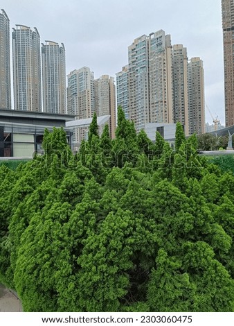 Skycraper with trees and plants in Kowloon Hong Kong 