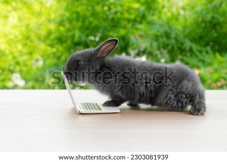 Tiny rabbit furry bunny small laptop online sitting on bokeh spring green background. Lovely baby rabbit looking notebook sitting on wooden natural background. Easter fluffy concept pet technology.