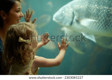 Mother, aquarium and child looking at fish for learning, curiosity and knowledge, education and bonding. Mom, fishtank and happy girl watching marine life or animals swim underwater in oceanarium. Royalty-Free Stock Photo #2303085227