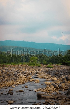 A river on the edge of Mount Argopuro which is so beautiful.  There are birds flying over the river which makes the atmosphere even more beautiful.