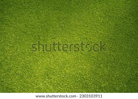 Green grass background, top view background of garden bright grass concept used for making green backdrop, lawn for sports field, golf course lawn green striped texture background Royalty-Free Stock Photo #2303103911