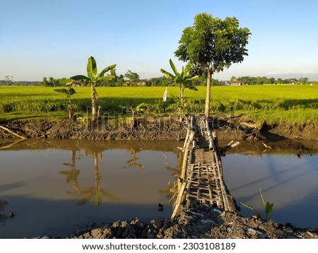 View of simple bridge over moat in rice field area,location in Sukoharjo,Indonesia.