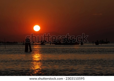 Sunset in Italy, Mediterrainian Sea, Seagull sitting