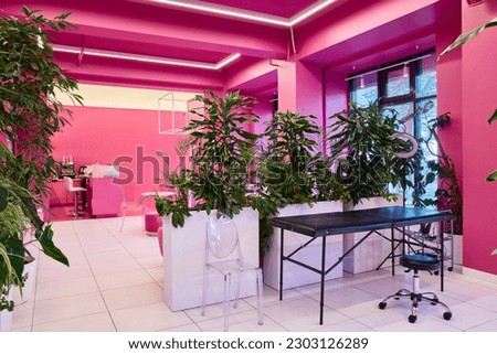 Modern pink interior with lots of plants