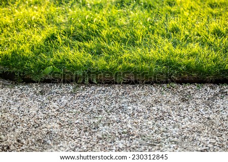 Closeup photo of stone path and fresh green grass at sunny day
