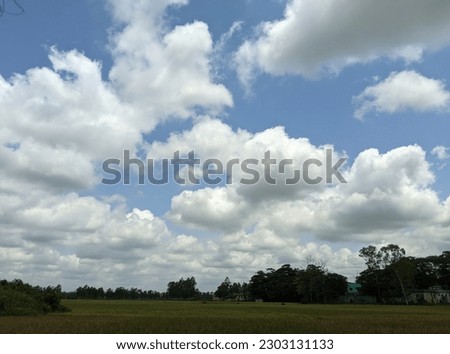 Beautiful blue sky and fields
