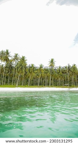 Vertical picture of beautiful tropical beach with coconut palm trees at Lamin Guntur, East Borneo, Indonesia