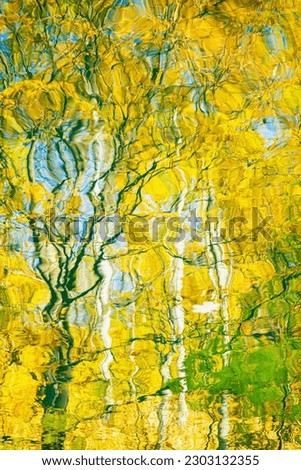 Reflection of golden trees in water. Colorful bright autumn colors. Natural blurred background