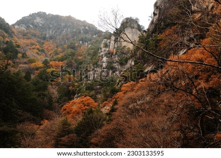 Autumn leaves of Shosenkyo Gorge