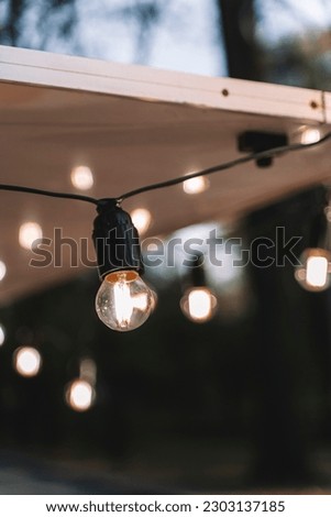 Garland of light bulbs for the evening decor of the yard and at home.