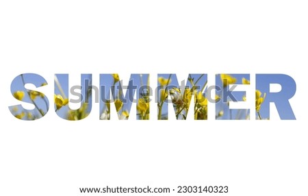The inscription "summer" is cut out of a photo of flowers on a white background