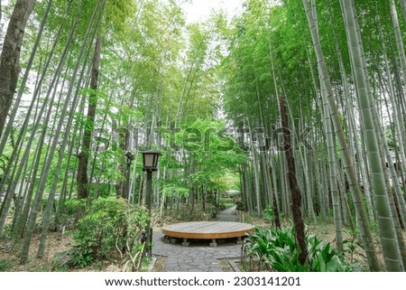 Located in Shuzenji, Shizuoka Prefecture, the Bamboo Grove Lane Royalty-Free Stock Photo #2303141201