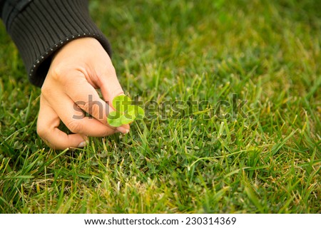 Woman hand picking four-leaf clover on grass 