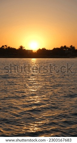the View of the Golden Sunset Over Seaside Homes and Silhouetted Palm Trees: Serene Beachscape landscape in El Gouna, Egypt