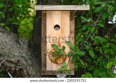 Wood background for outdoor texture in a park