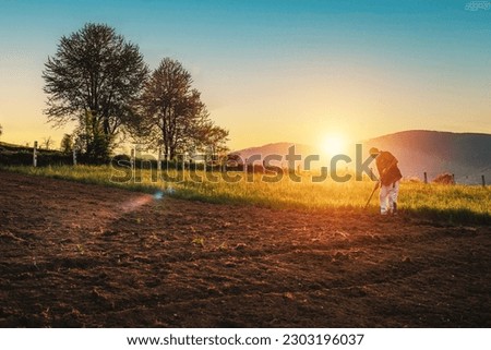 Farmer working on an agricultural fields in spring at sunset. Royalty-Free Stock Photo #2303196037