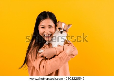 Cute Asian woman with his chihuahua chihuahua dog lover The happiness of a girl who loves his dog The love of people and cute dogs photo shoot in orange studio