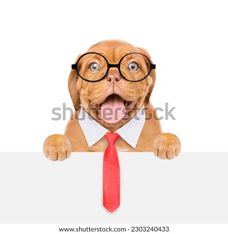 Smart Mastiff puppy wearing  eyeglasses and necktie looks at camera above empty white banner. isolated on white background