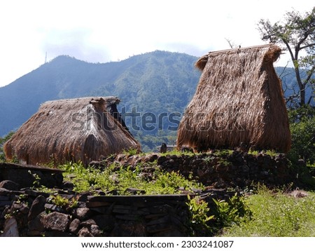 Close up of huts, Wologai traditional village with huts built of bamboo and palm fibre, Flores island, Indonesia. High quality photo 