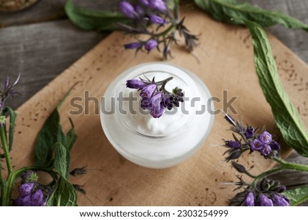 A jar of comfrey ointment with fresh blooming symphytum officinale plant Royalty-Free Stock Photo #2303254999