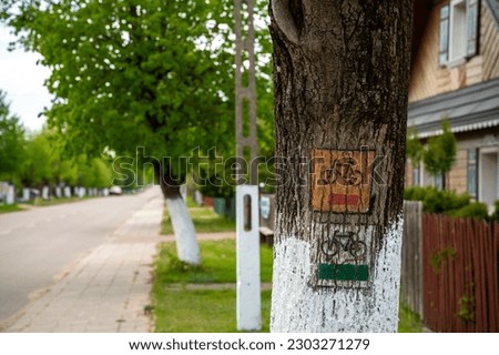 Pictograms of bicycle routes painted on a tree trunk