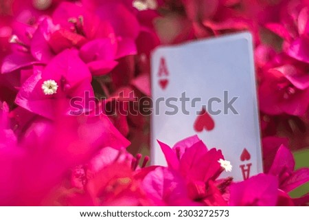 Ace of clubs, golds, cups, sticks and hearts, with flowers in the background, abstract concept.