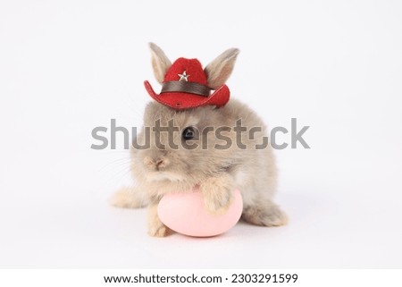 Healthy lovely baby bunny easter brown rabbit wearing red sheriff hat and holding pink easter egg on white nature background. Cute fluffy rabbit, animal symbol of easter day festival.