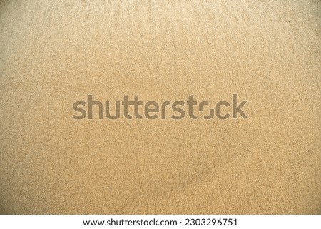 Wet smooth sand on the beach. Background on the theme of travel and seaside holidays on the coast.