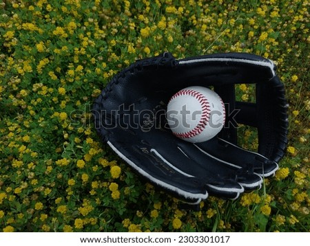 A black baseball glove catch the ball with a flower background, making it the perfect fashionable sports accessory for your next game on the lawn.
