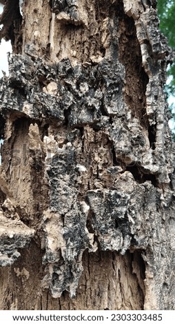 Tree texture Strange patterns on brown tree surfaces.
