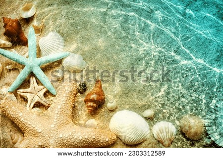 Starfish and seashell on the summer beach in sea water. Summer background. Summer time. Royalty-Free Stock Photo #2303312589